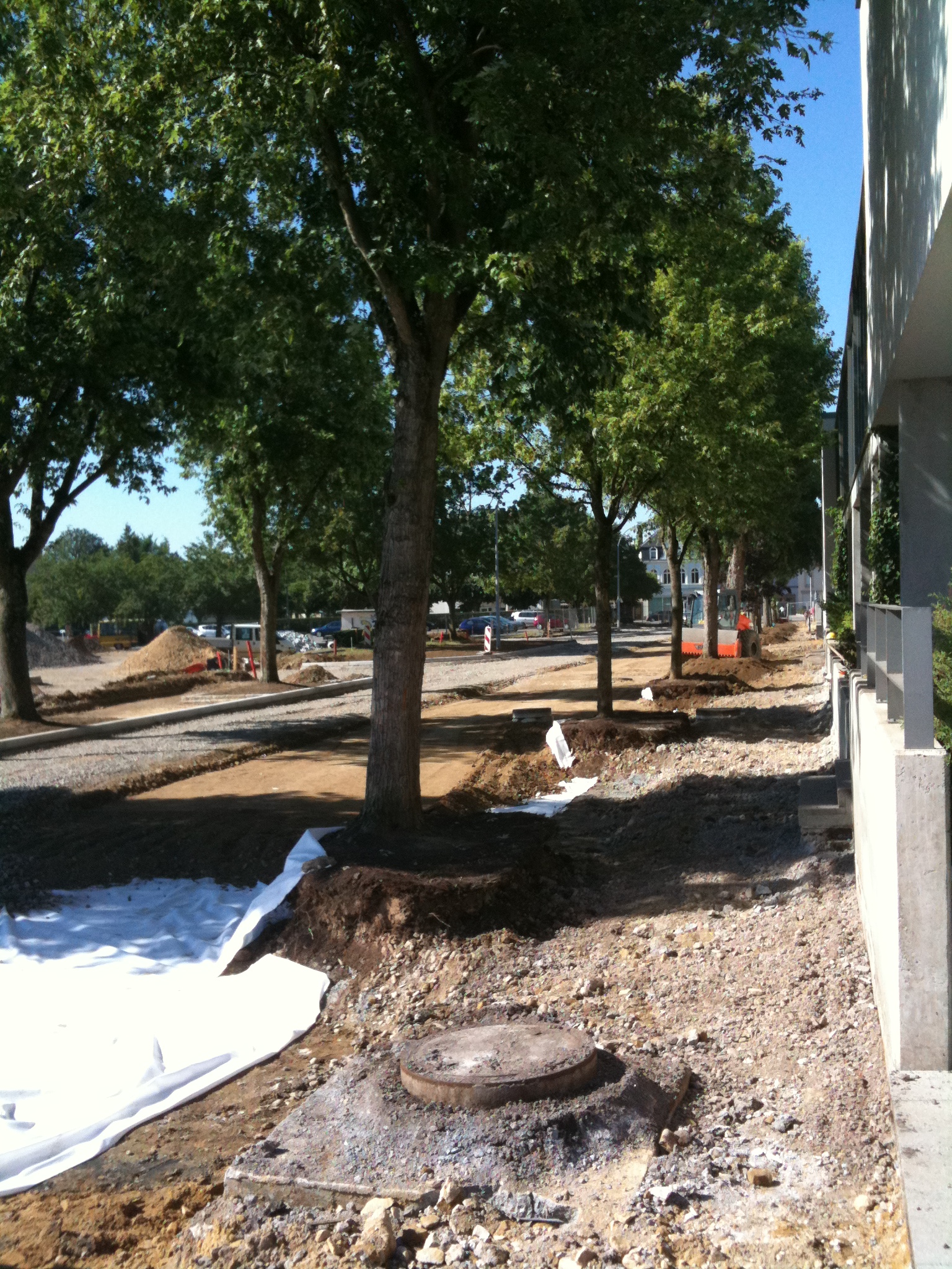 20100719_Schoulhaff_004.jpg
